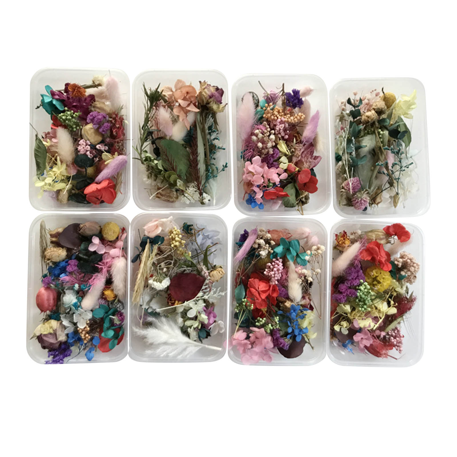 Natural Dried Flower Kit Press - огляд і ціна Dried Herbs