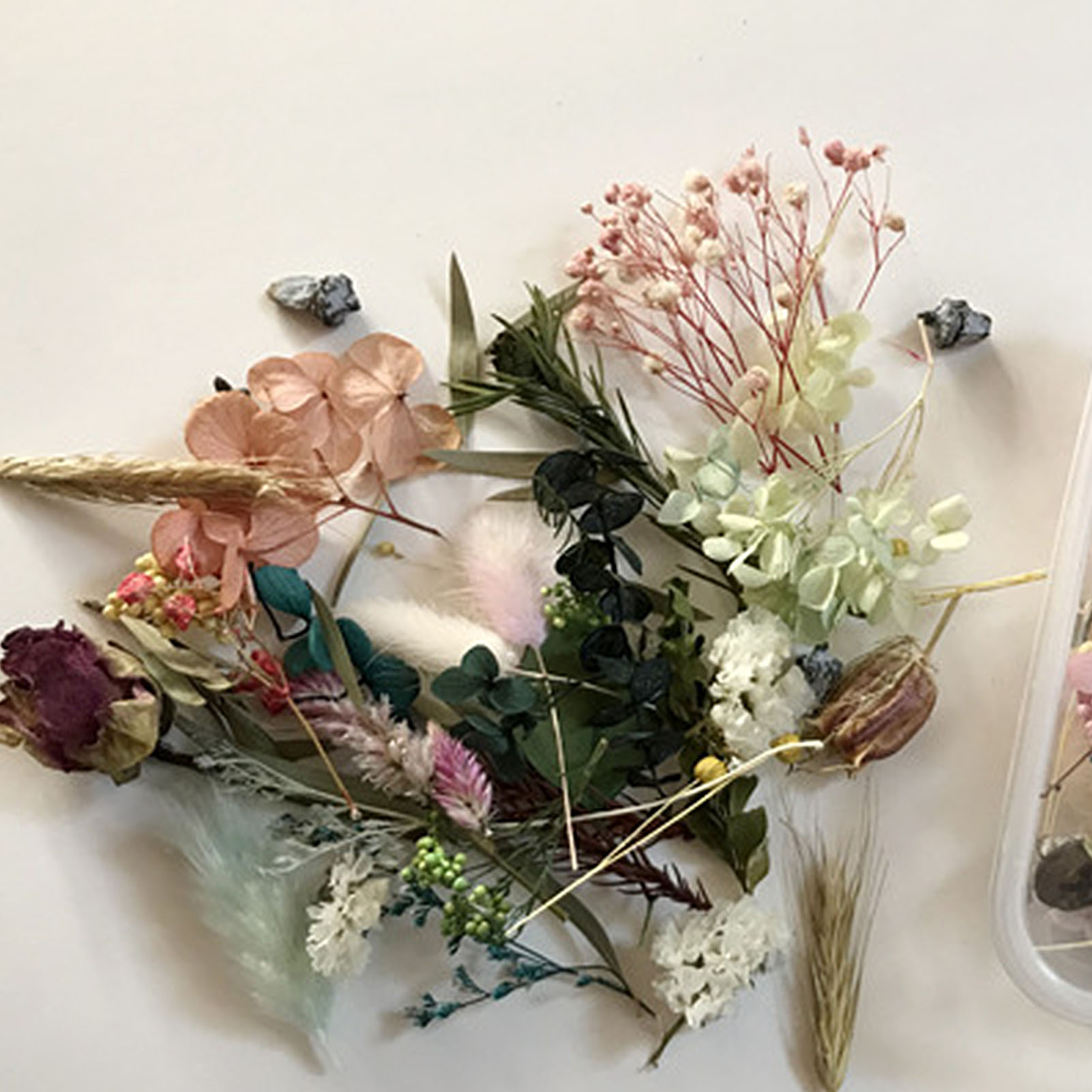 Natural Dried Flower Kit Press - огляд і ціна Dried Herbs