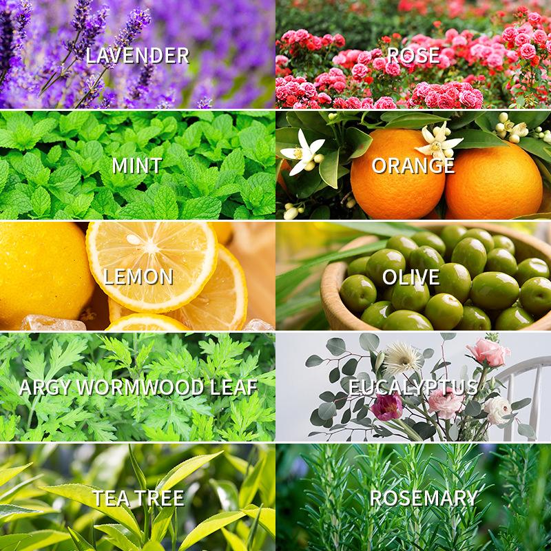 Aromatherapy Essential Oil 10m - огляд і ціна Lavender Oil