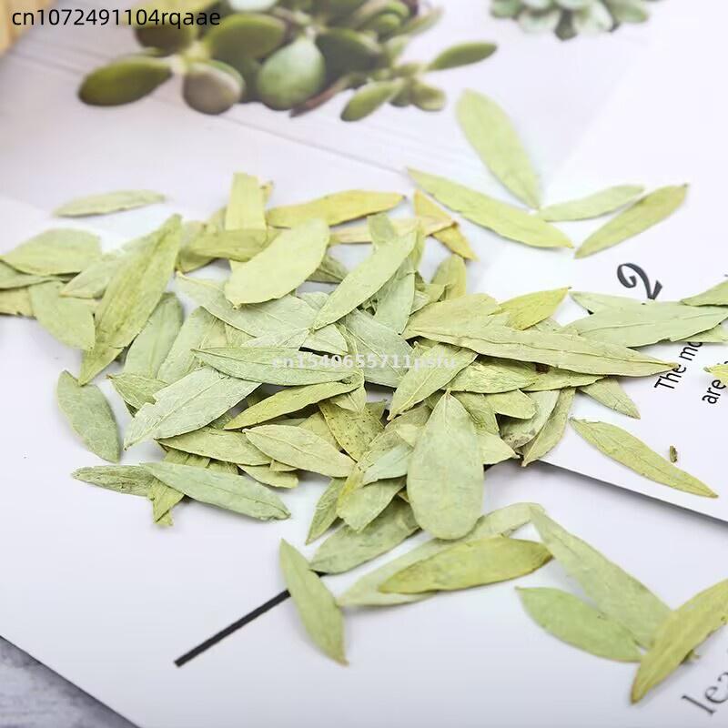 Premium Organic Senna Leaves & - огляд і ціна Dried Herbs